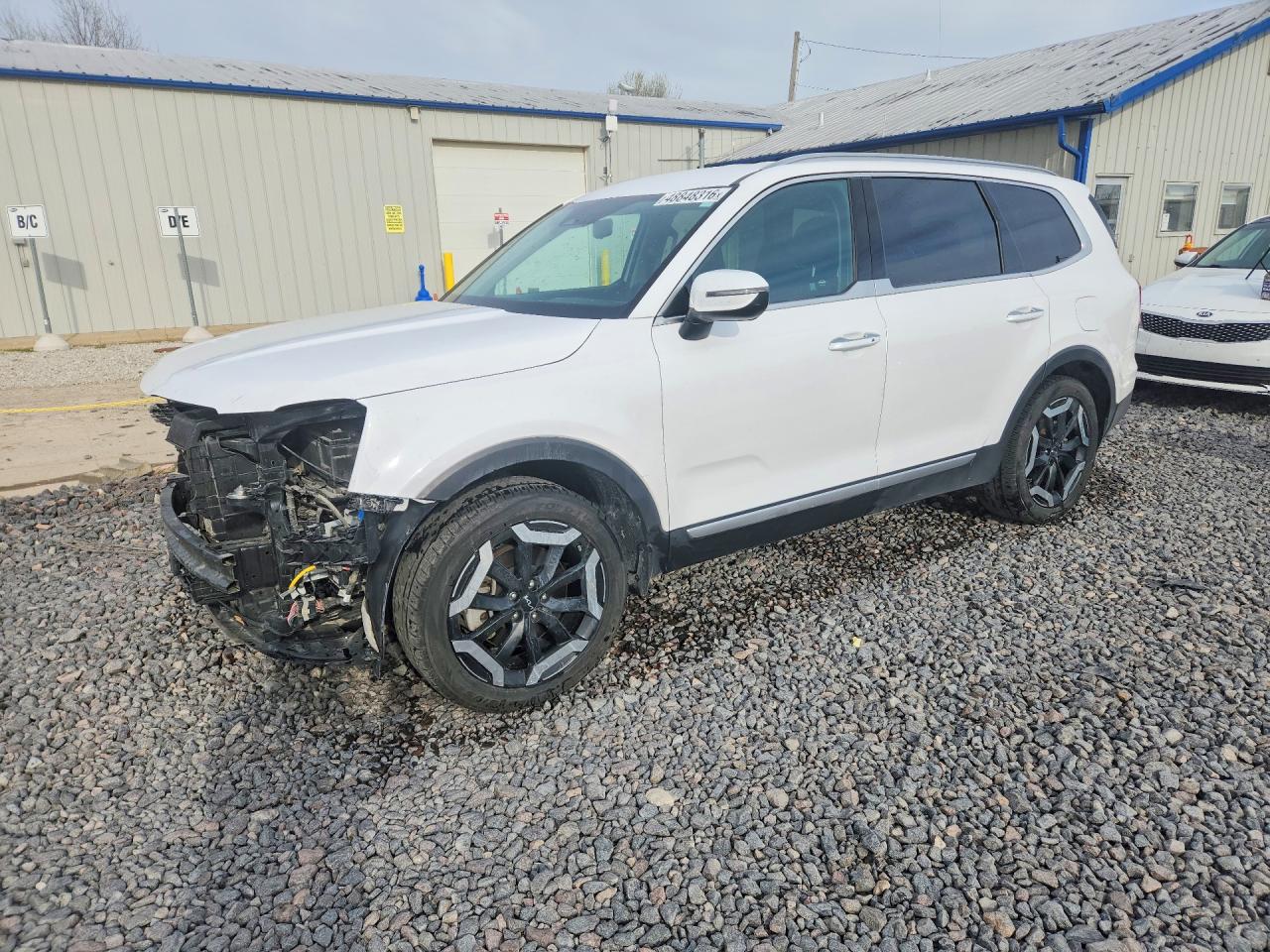 Salvage Kia Telluride Image