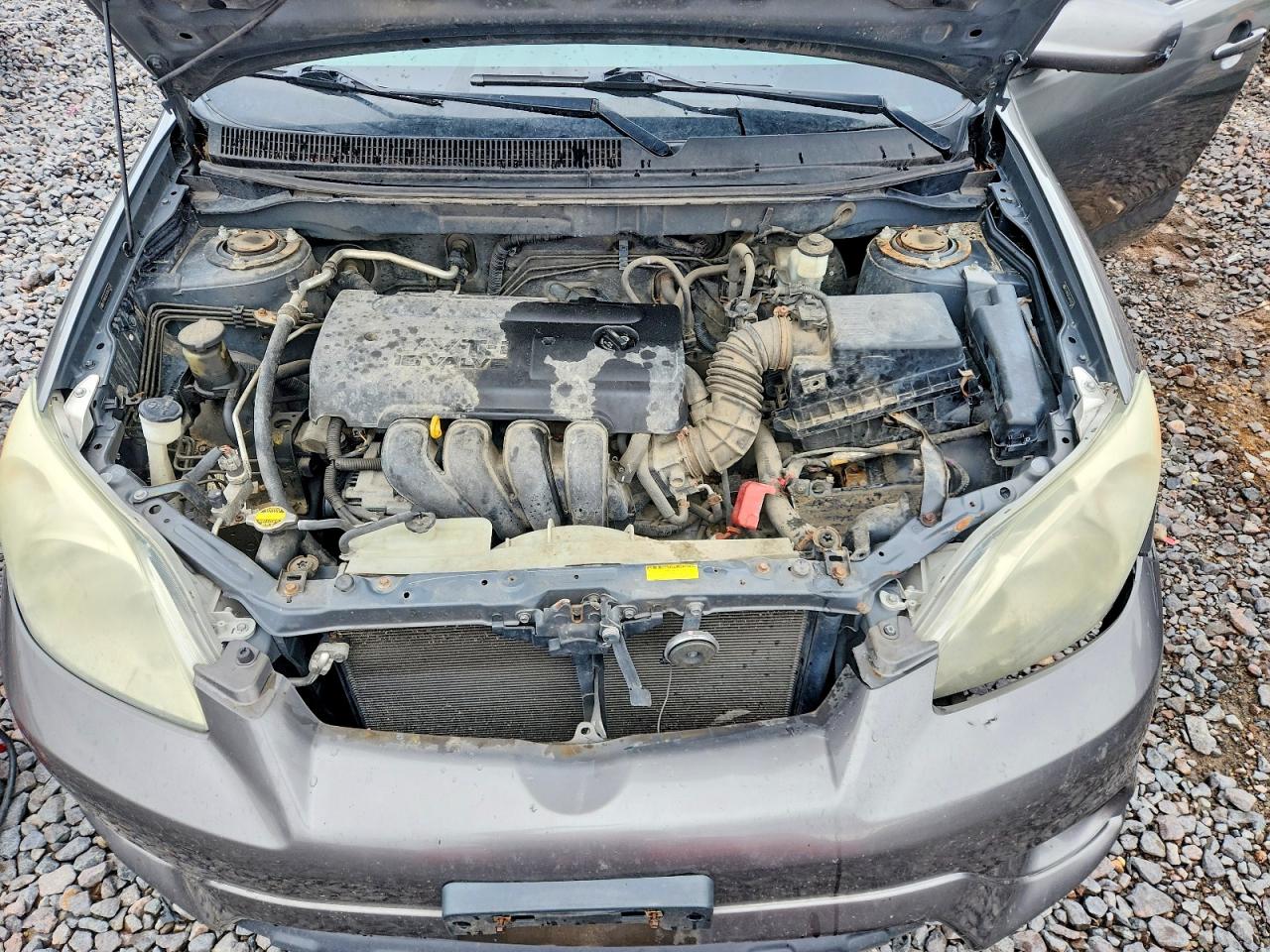 Toyota Corolla Xr