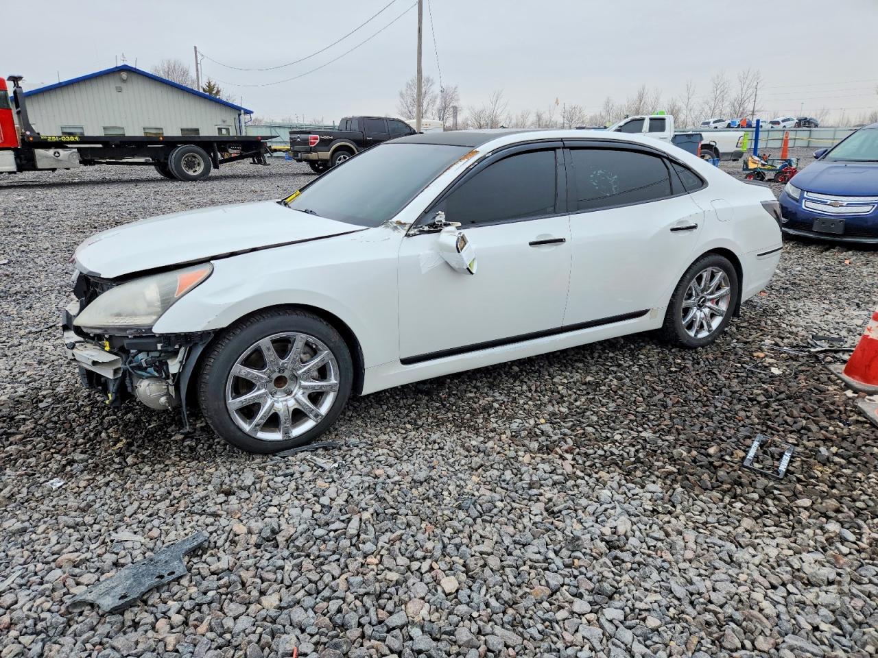 Salvage Hyundai Equus Image