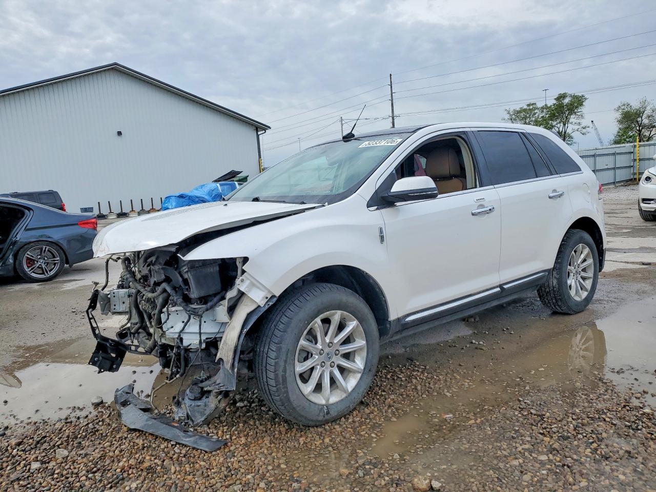 Salvage Lincoln MKX Image