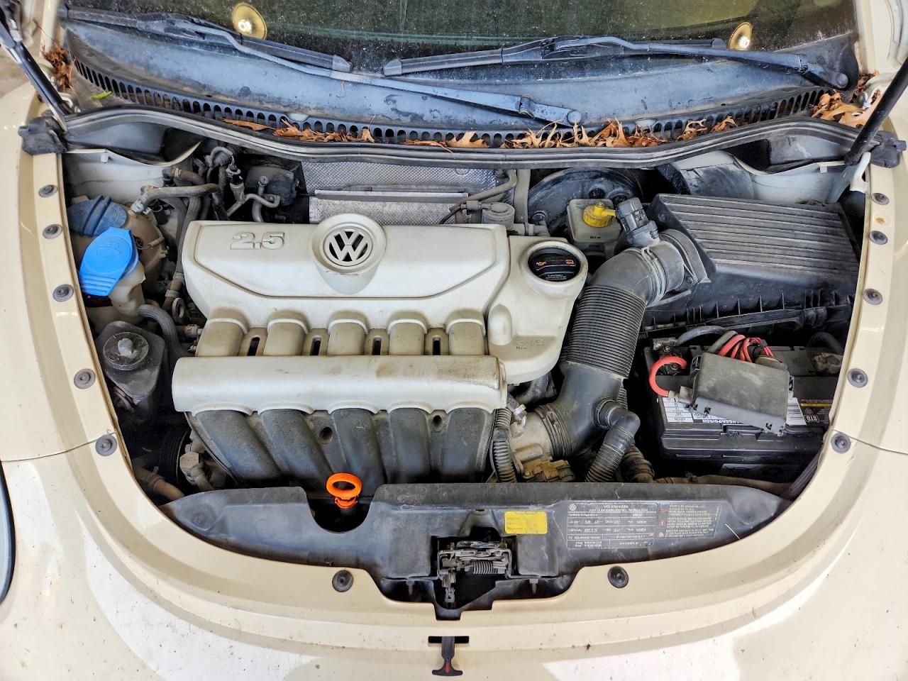 Volkswagen Beetle S