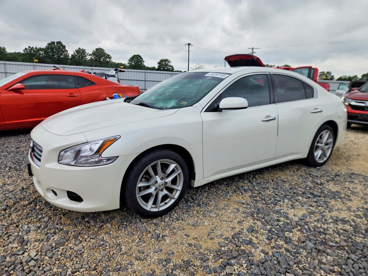Salvage Nissan Maxima Image