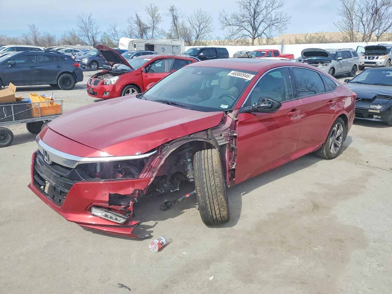 Salvage Honda Accord Image