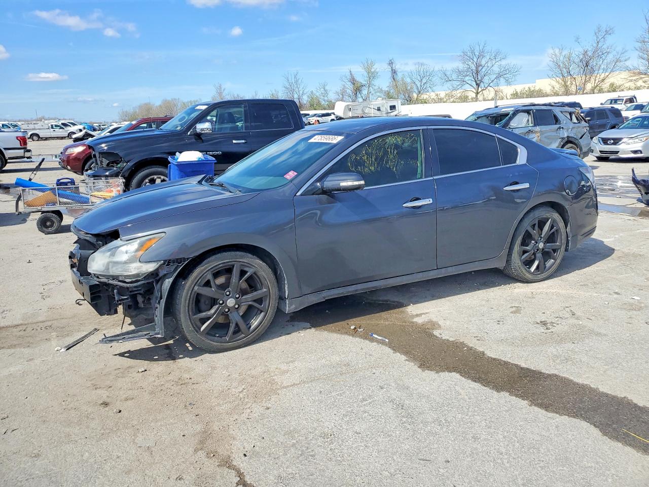 Salvage Nissan Maxima Image