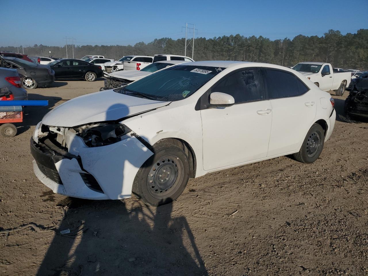 Salvage Toyota Corolla Image