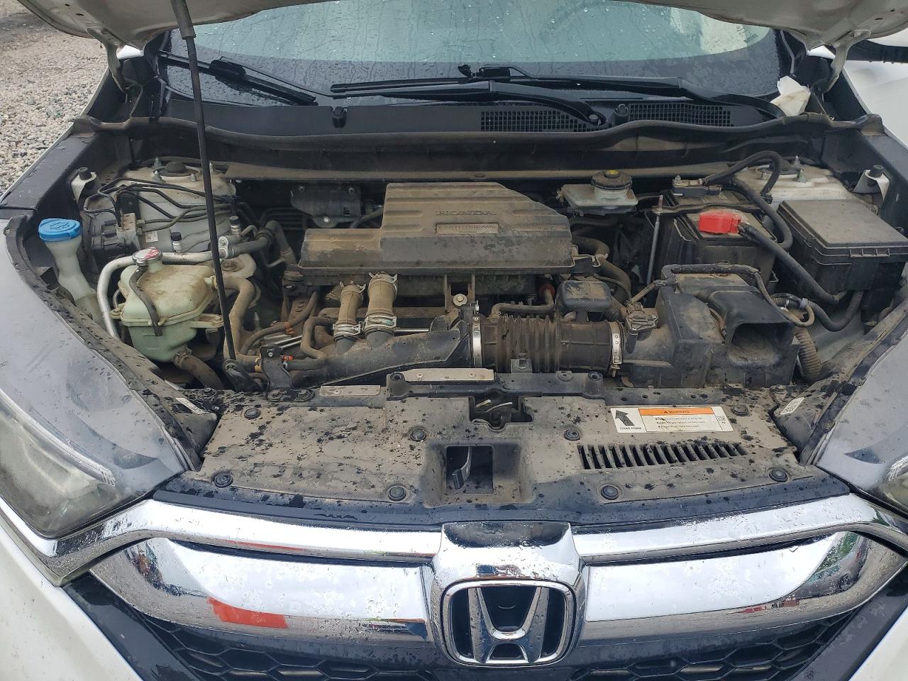 Honda Crv