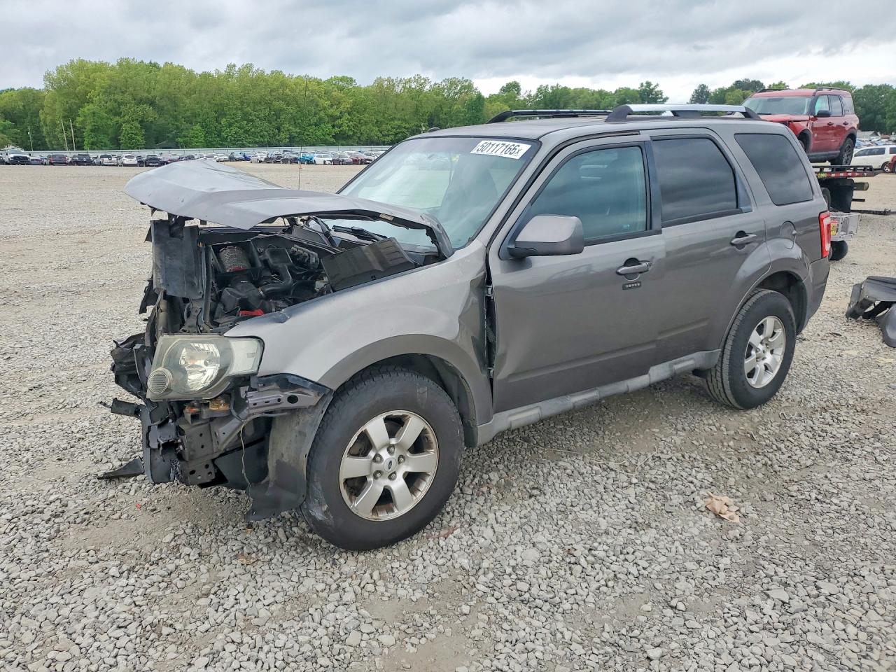 Salvage Ford Escape Image