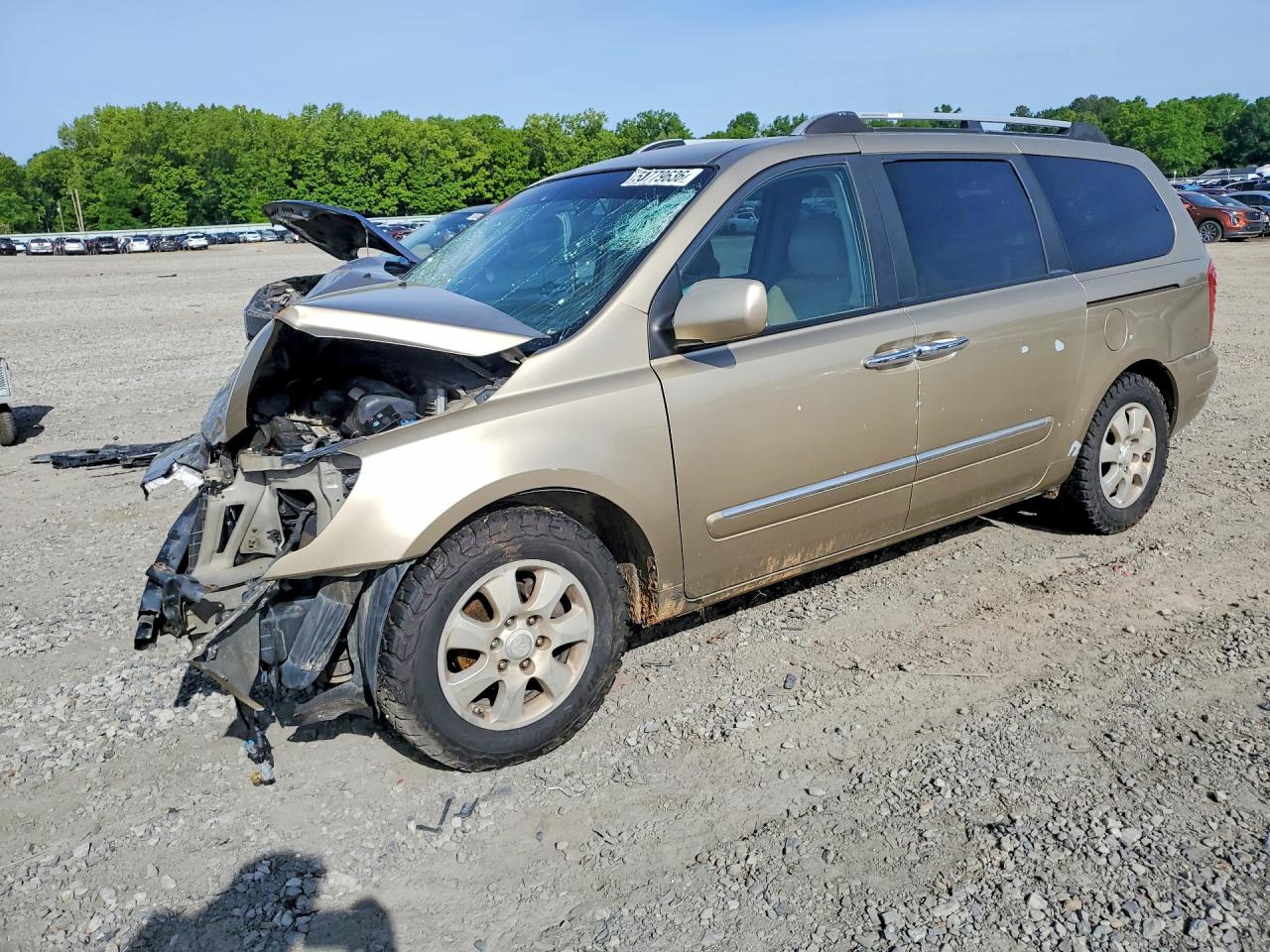 Salvage Hyundai Entourage Image