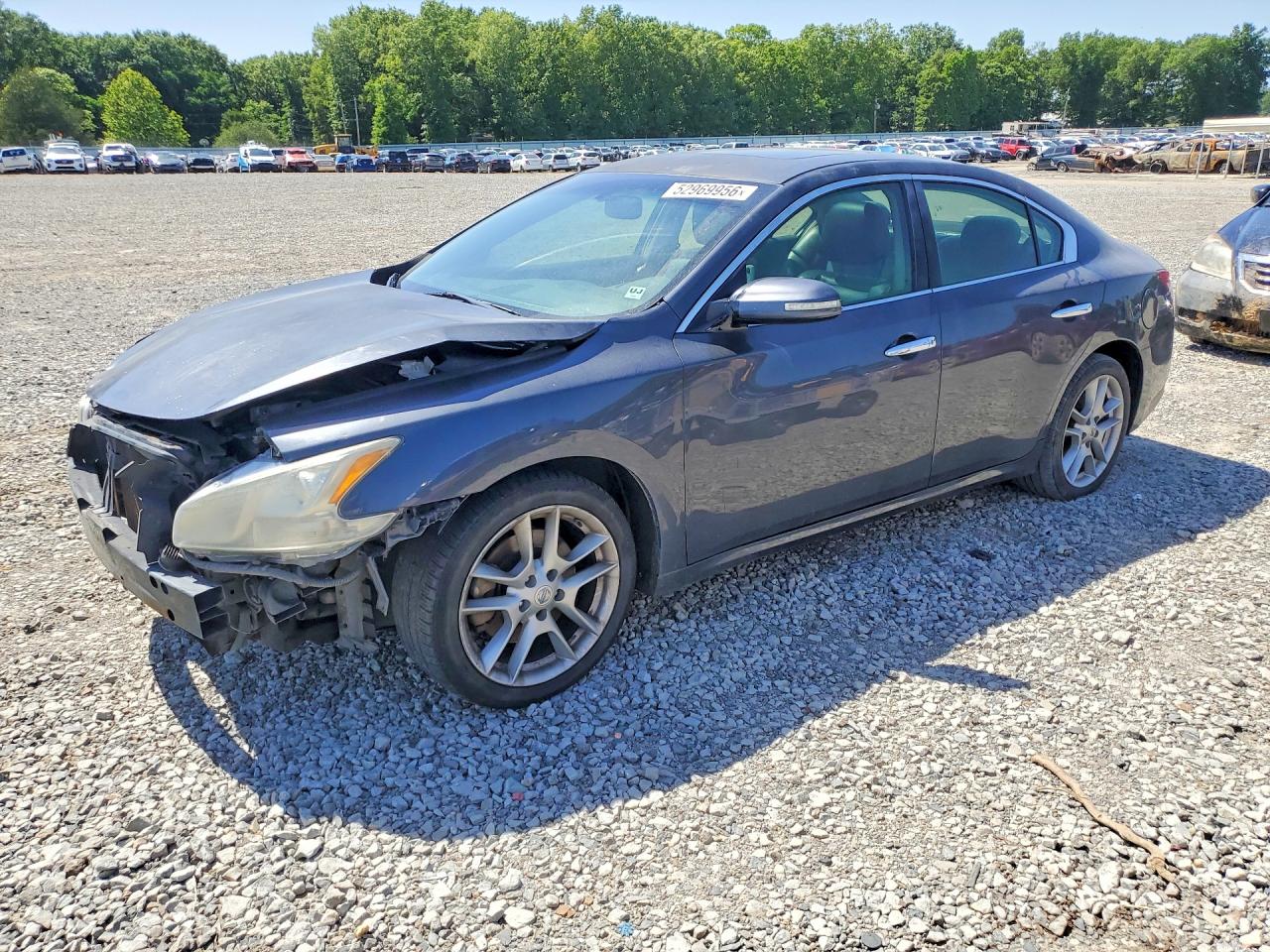 Salvage Nissan Maxima Image
