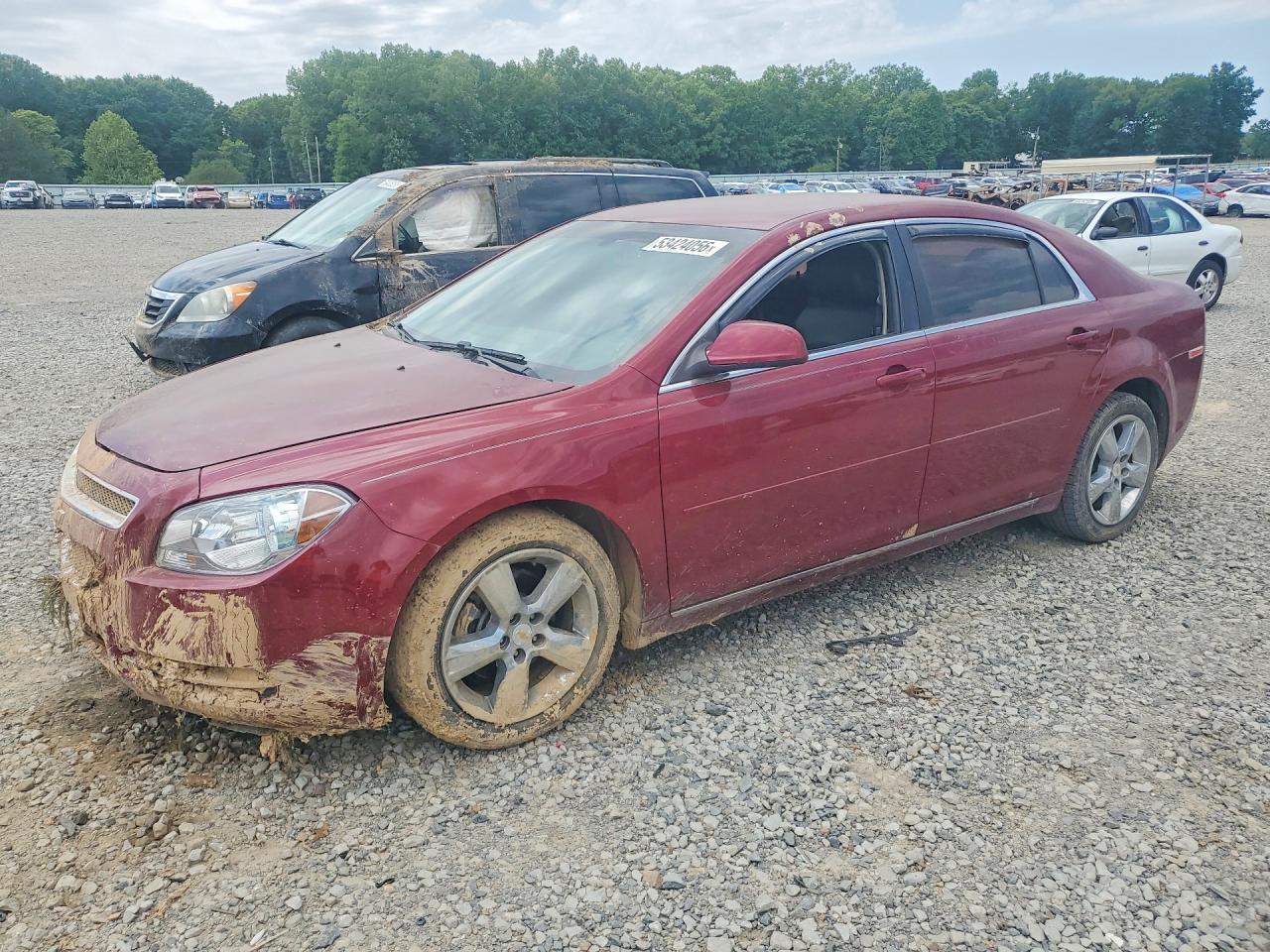 Salvage Chevrolet Malibu Image