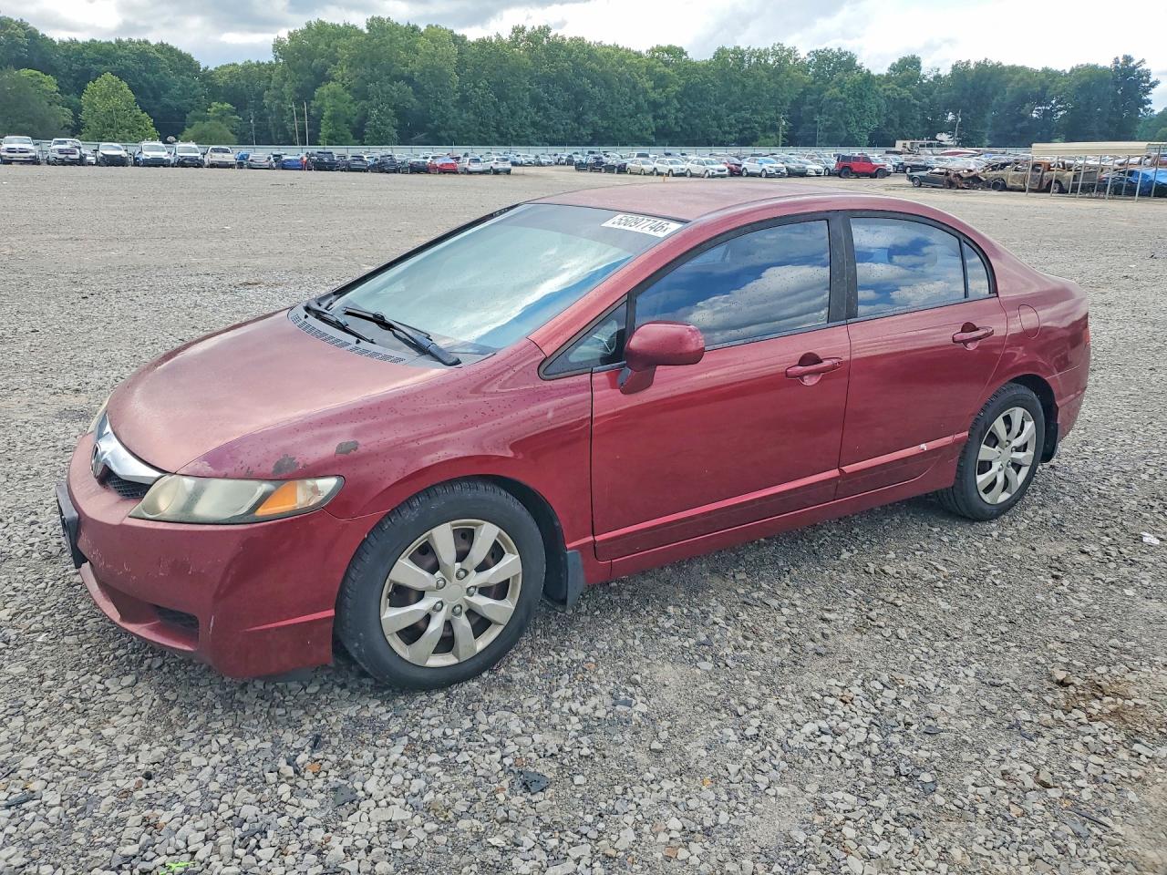 Salvage Honda Civic Image