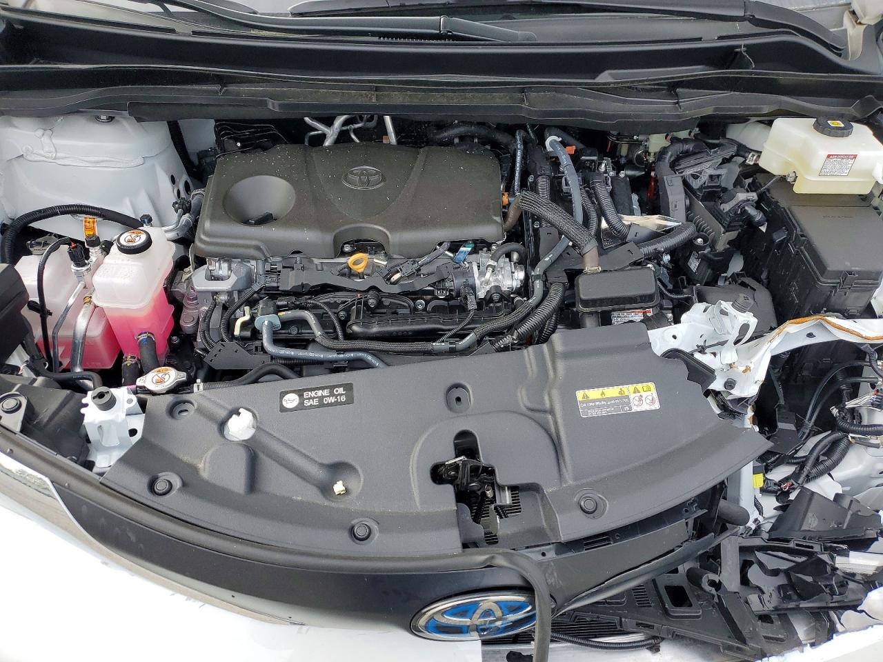 Toyota Sienna Xle 8-passenger