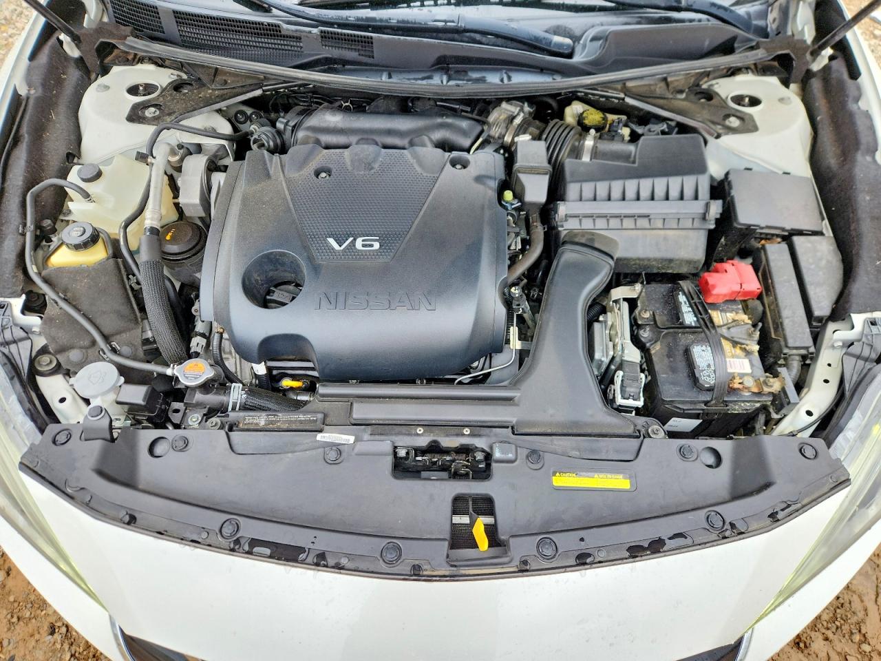 Nissan Maxima Platinum
