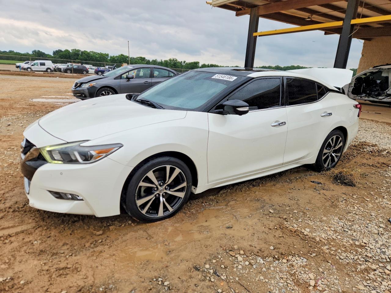 Salvage Nissan Maxima Image