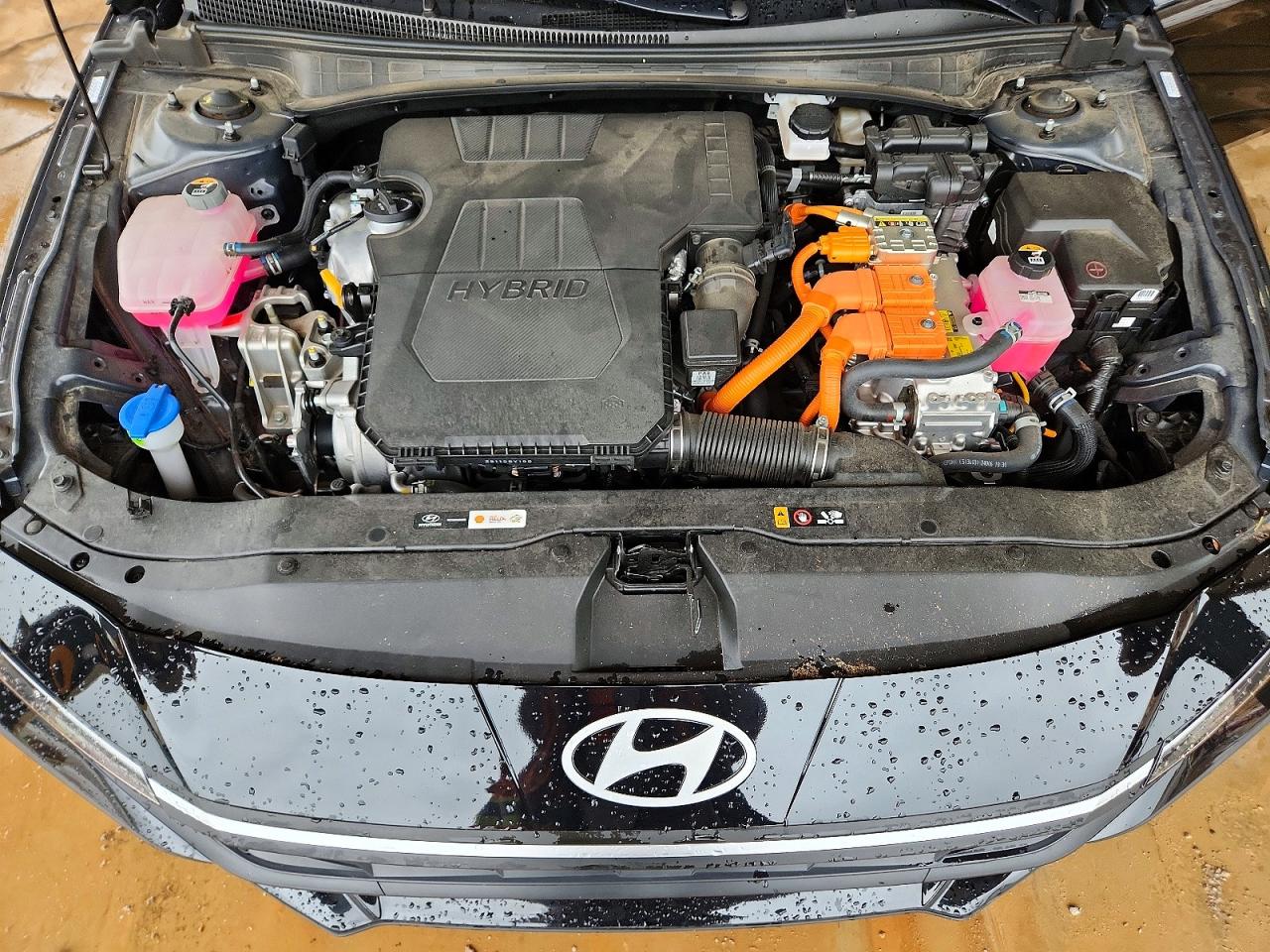 Hyundai ELANTRA Blue