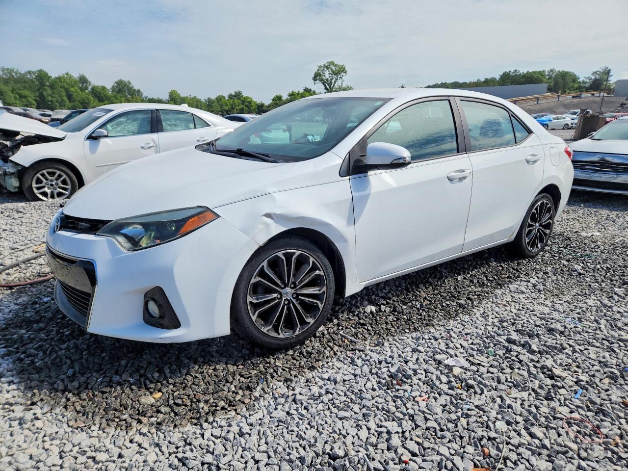 Salvage Toyota Corolla Image