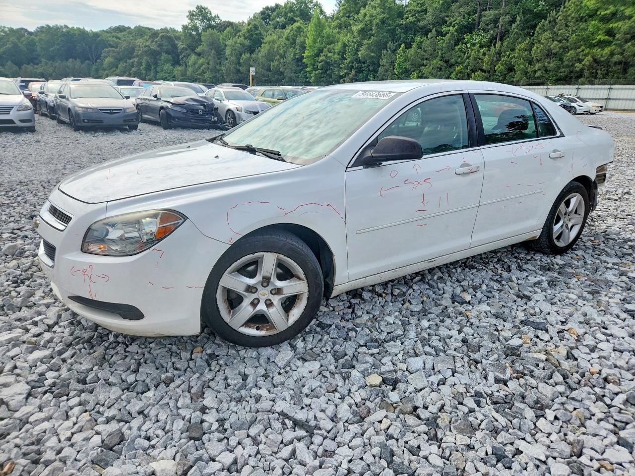 Salvage Chevrolet Malibu Image