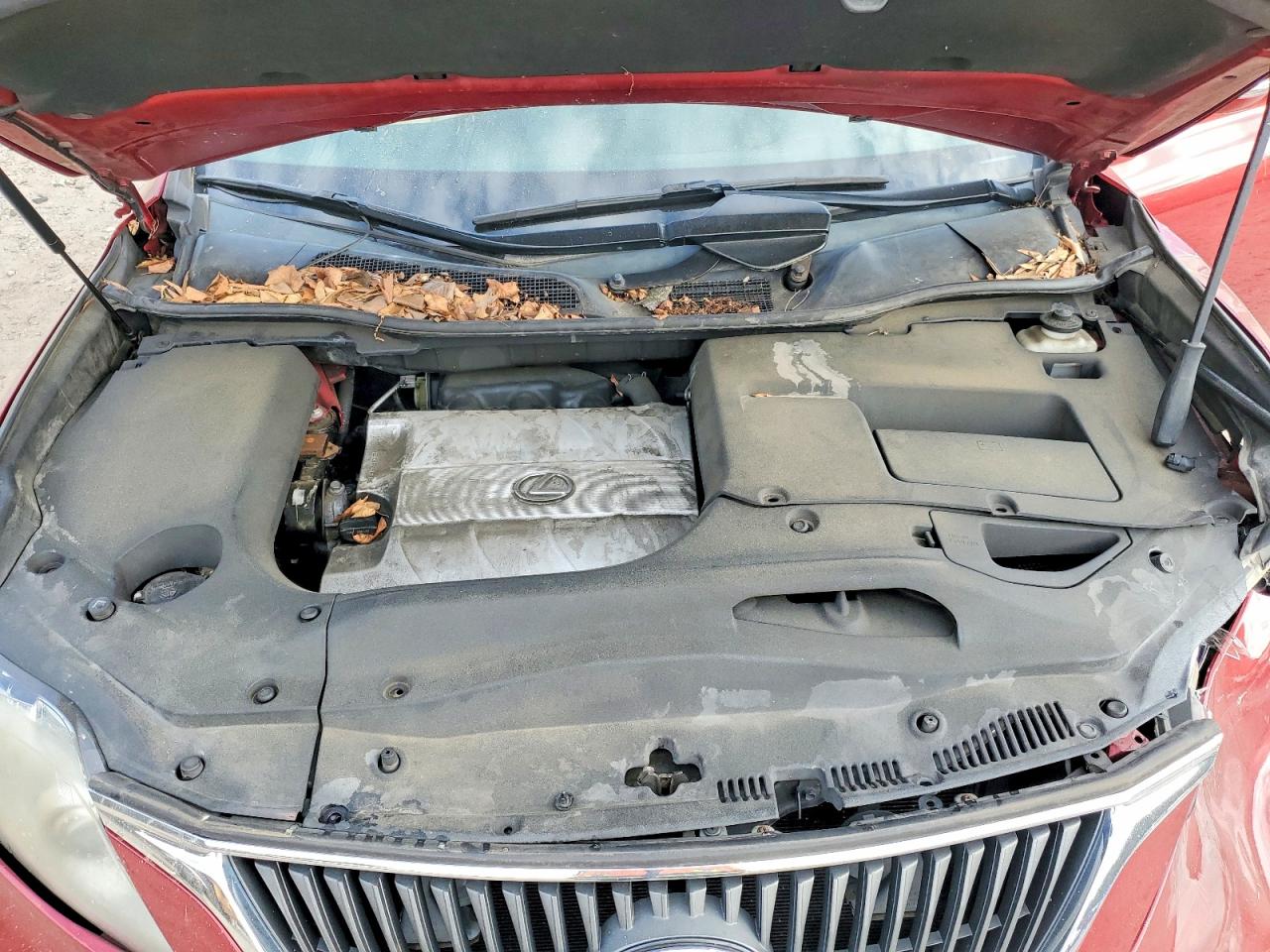 Lexus RX Base