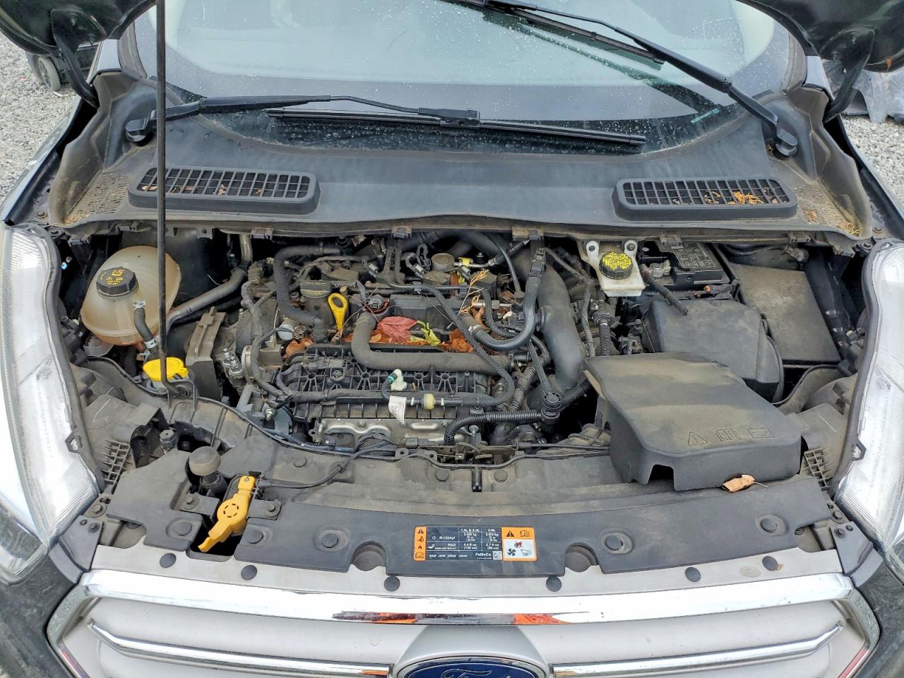 Ford Escape Se