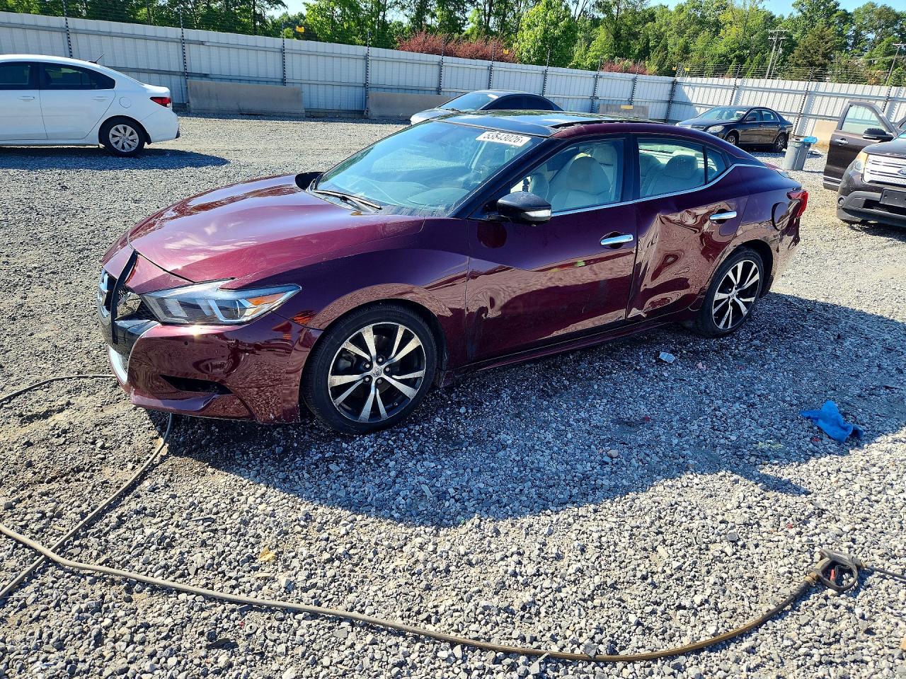 Salvage Nissan Maxima Image