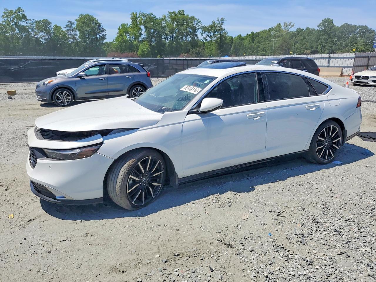 Salvage Honda Accord Image