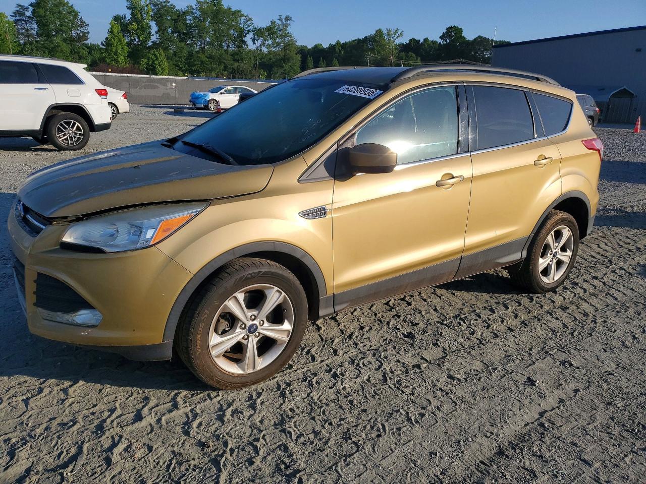 Salvage Ford Escape Image
