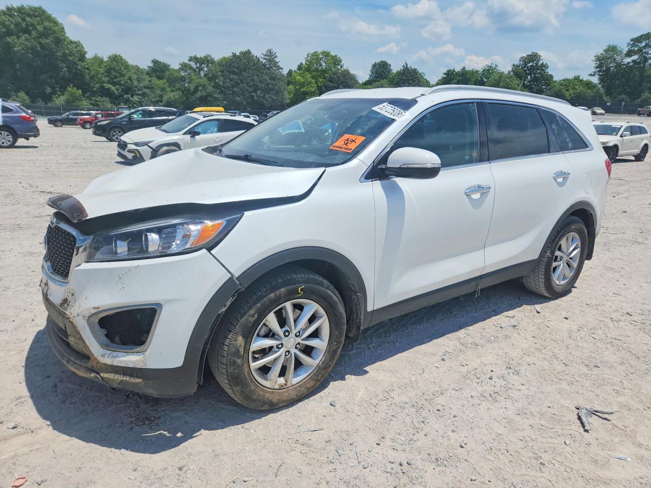 Salvage Kia Sorento Image