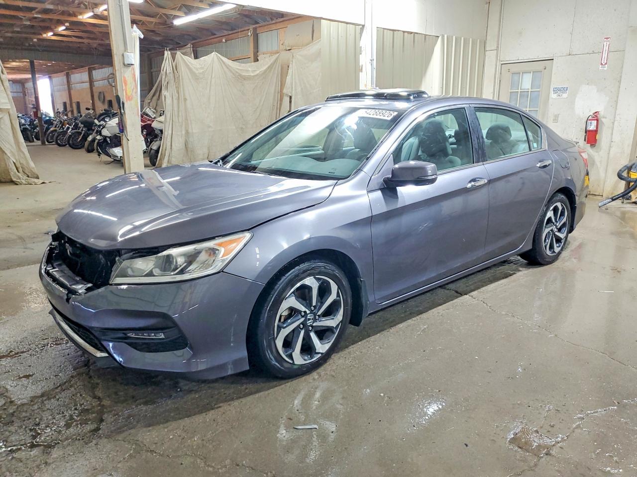 Salvage Honda Accord Image