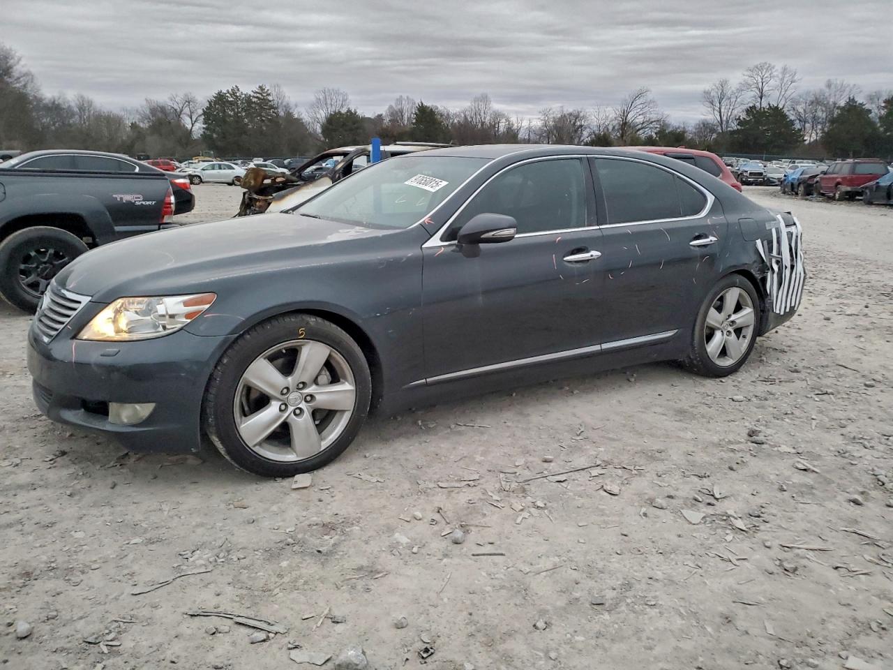 Salvage Lexus LS Image