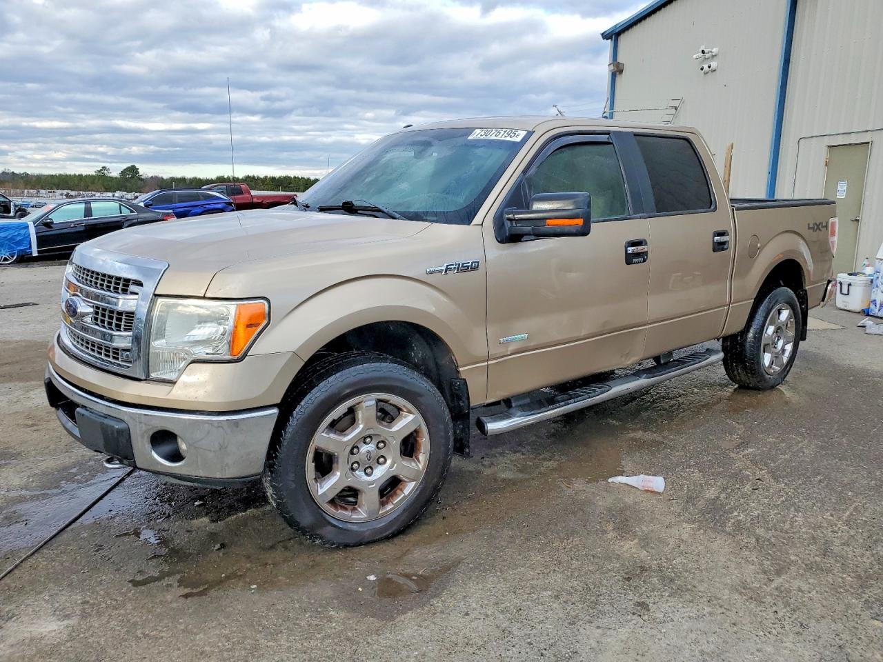 Salvage Ford F-150 Image