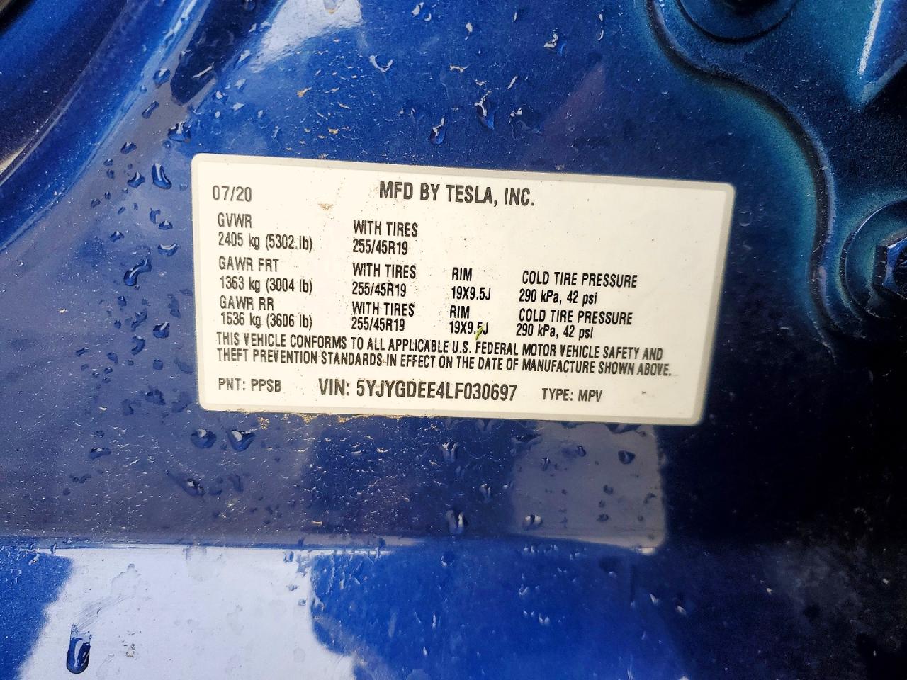 Tesla Model Y