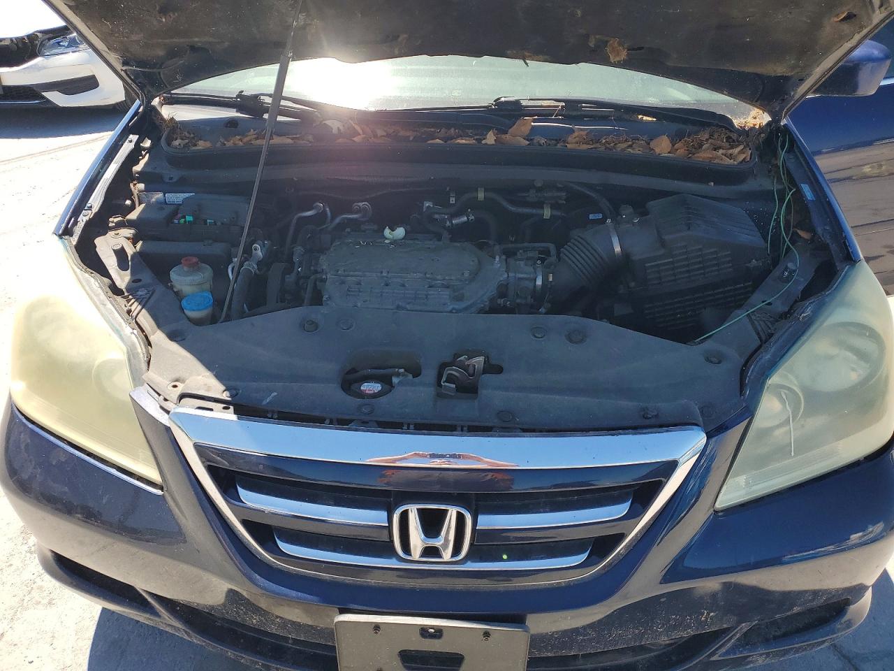 Honda Odyssey Exl