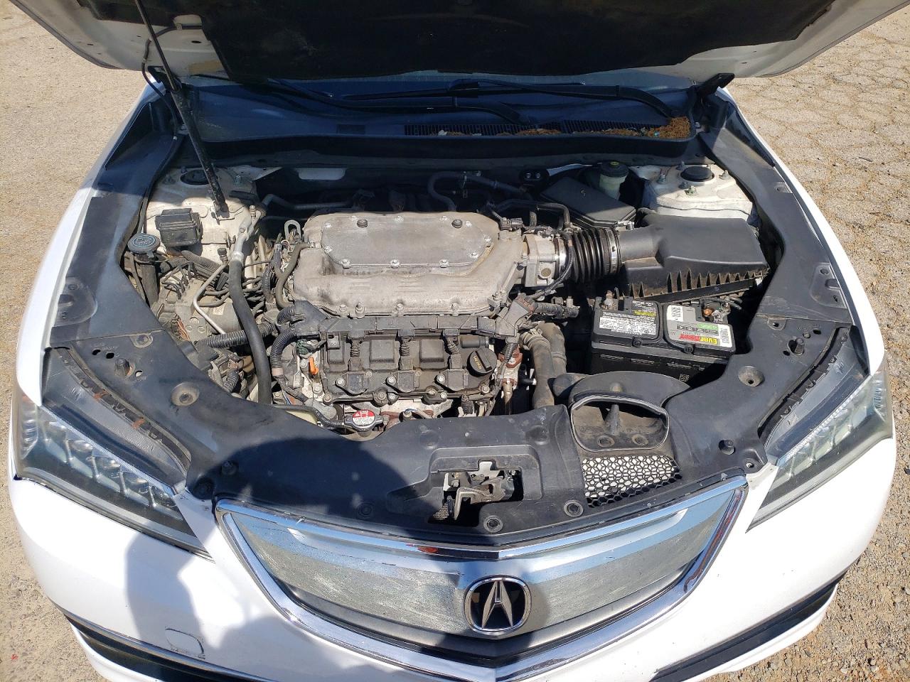 Acura TLX
