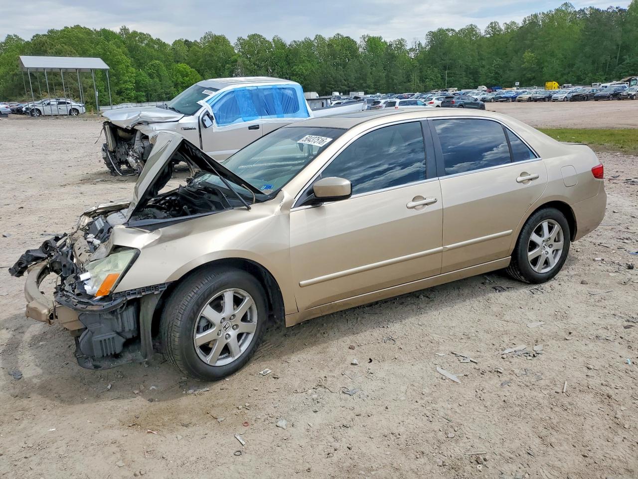 Salvage Honda Accord Image