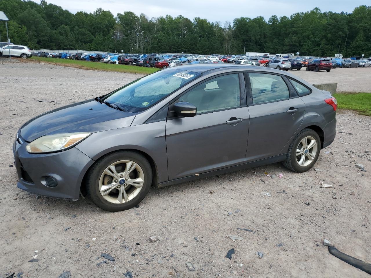 Salvage Ford Focus Image