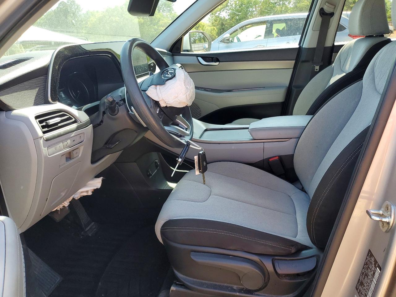 Hyundai PALISADE Se