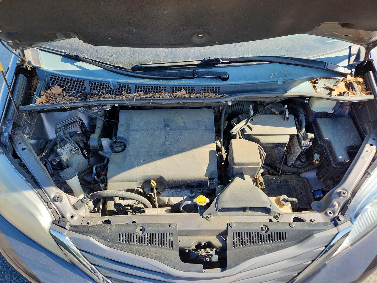 Toyota Sienna Xle 8-passenger