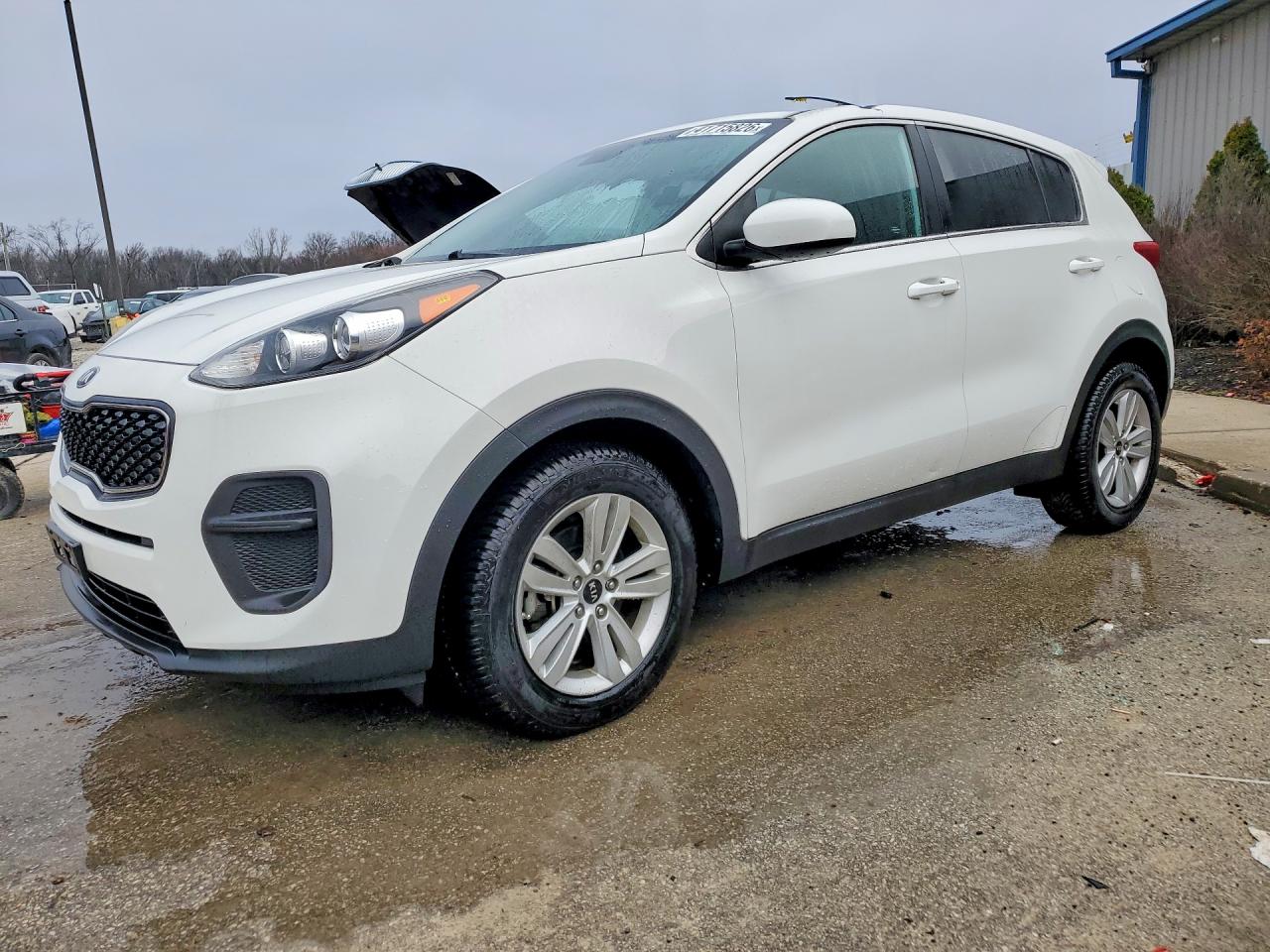 Salvage Kia Sportage Image