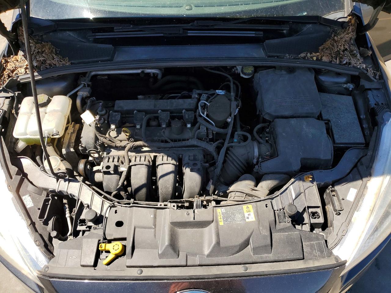 Ford Focus S