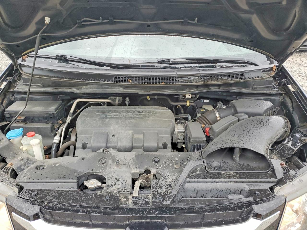 Honda Odyssey Exl