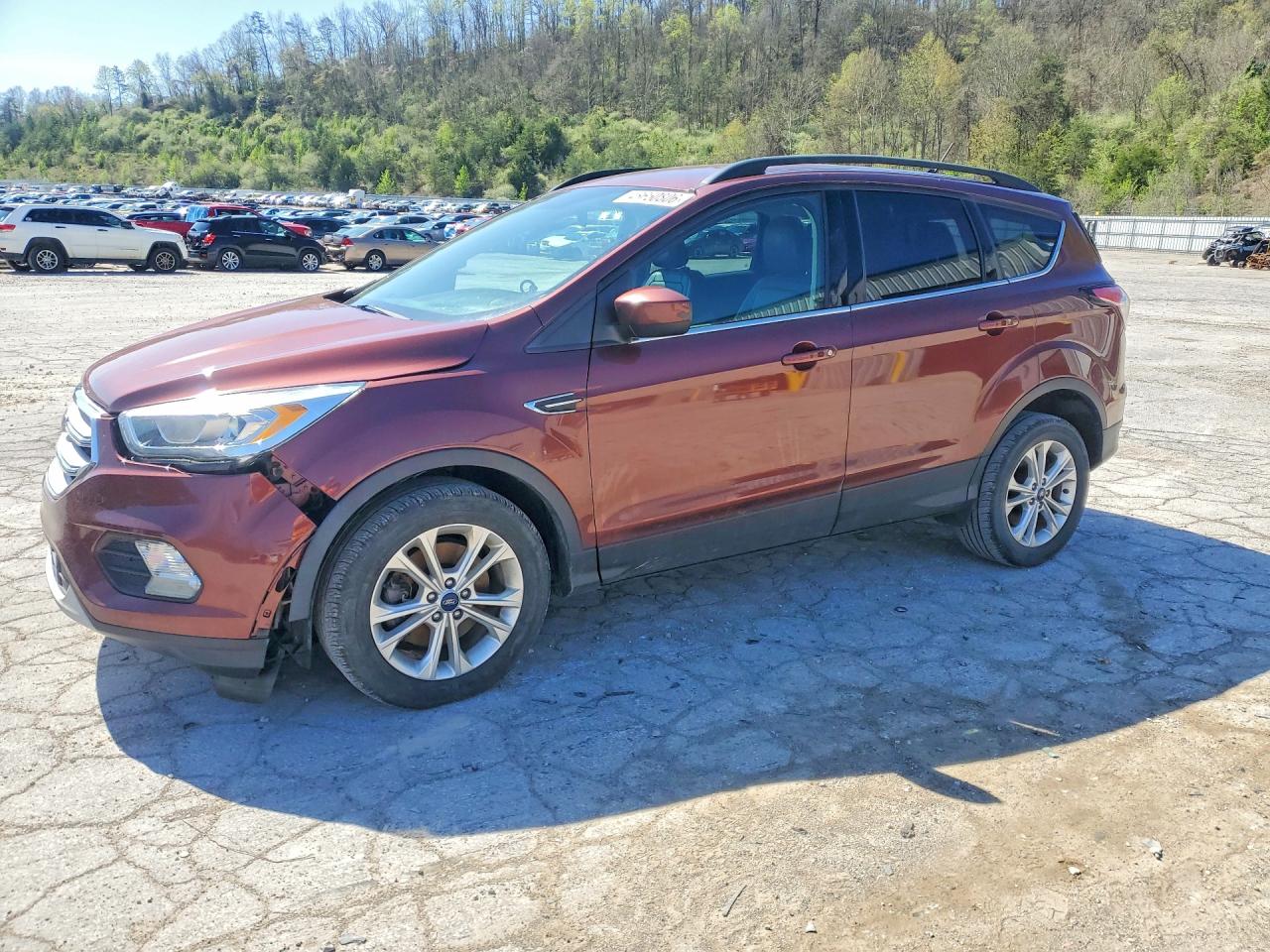 Salvage Ford Escape Image