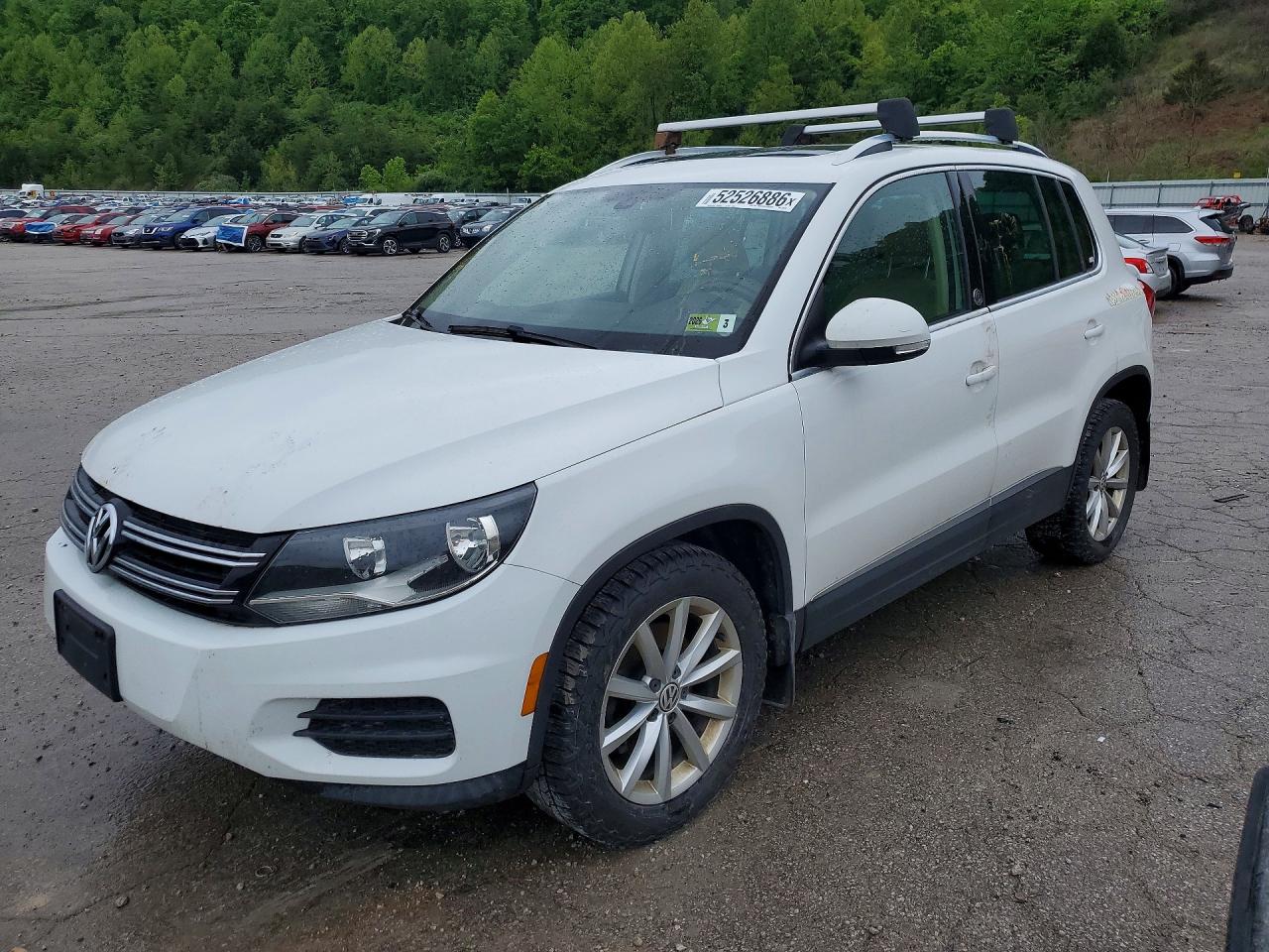 Salvage Volkswagen Tiguan Image