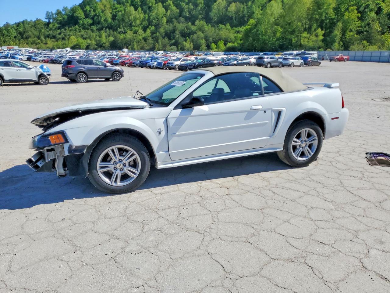 Salvage Ford Mustang Image