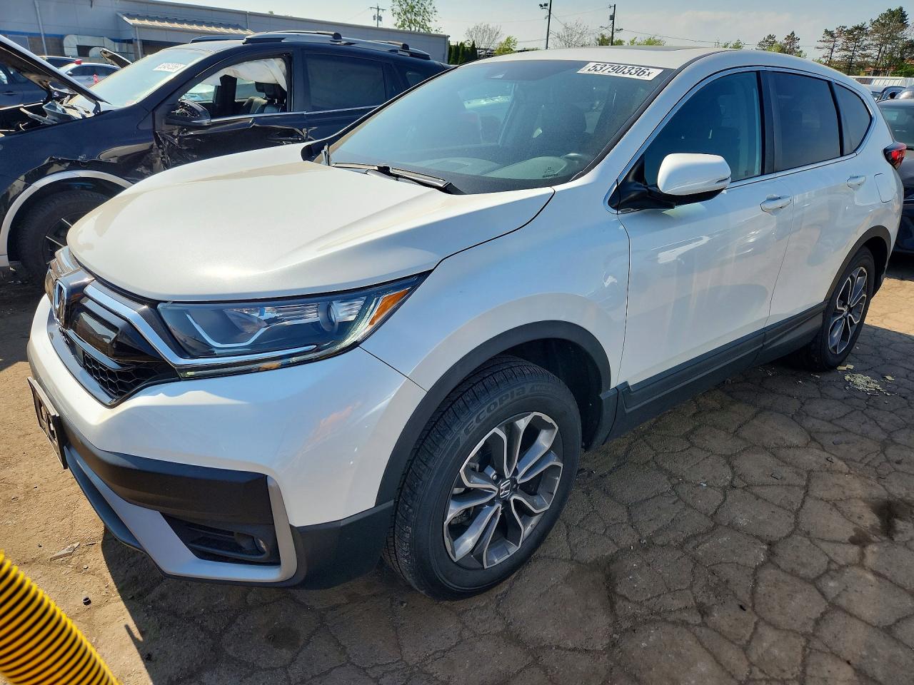 Salvage Honda Crv Image