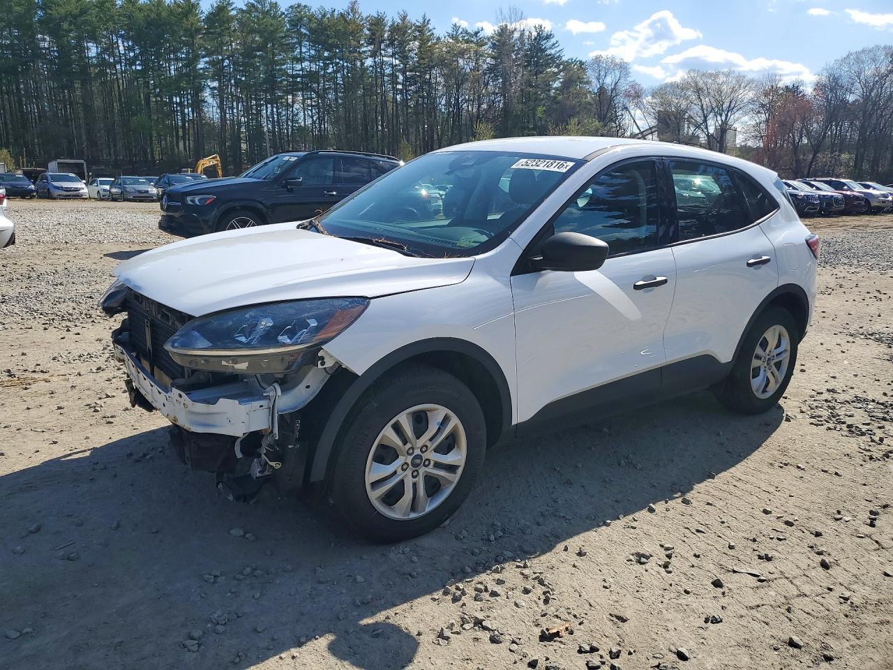 Salvage Ford Escape Image