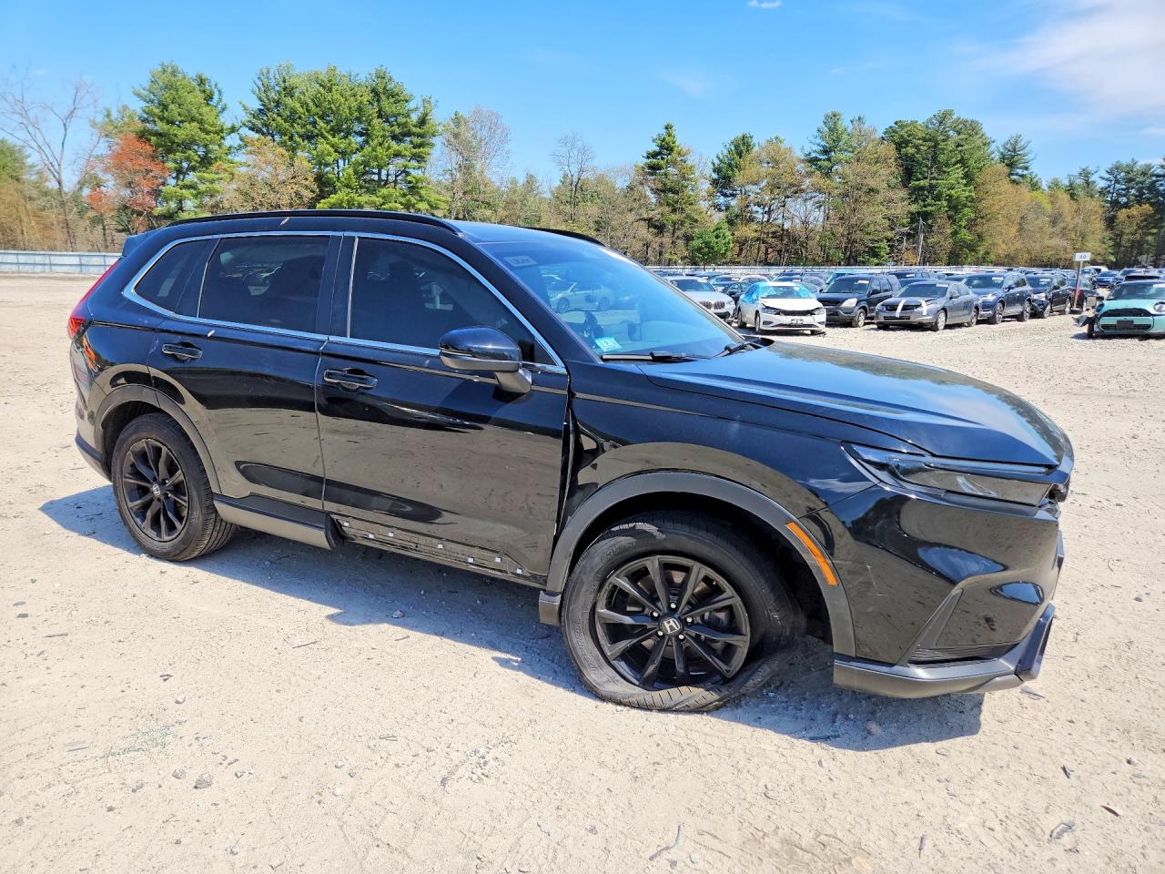 Honda Crv Sport