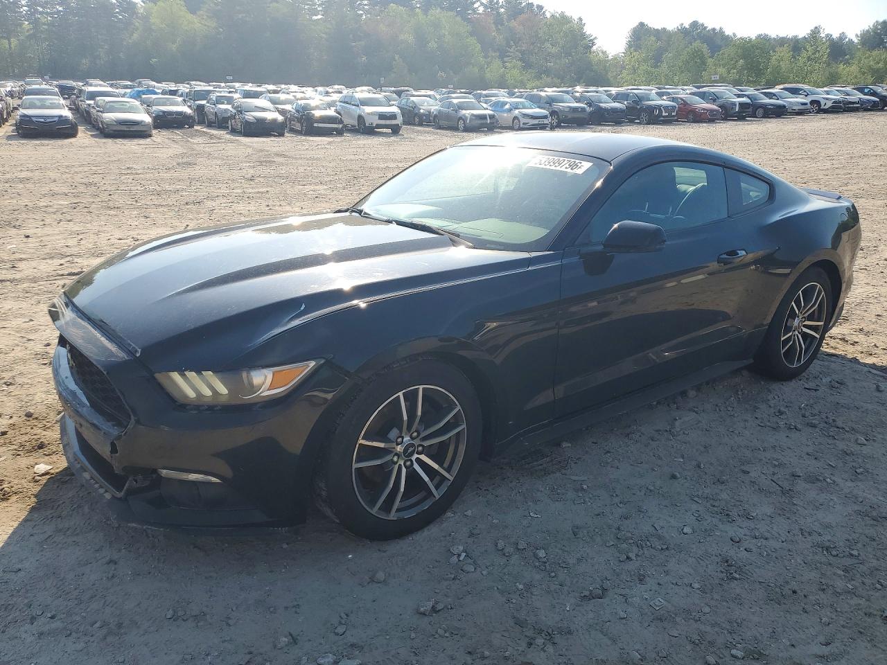 Salvage Ford Mustang Image