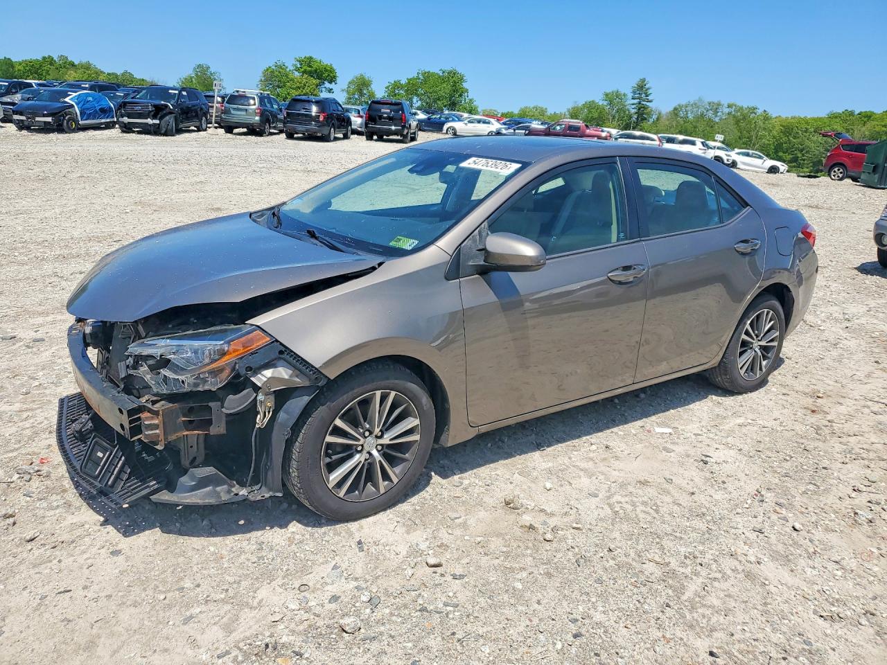Salvage Toyota Corolla Image