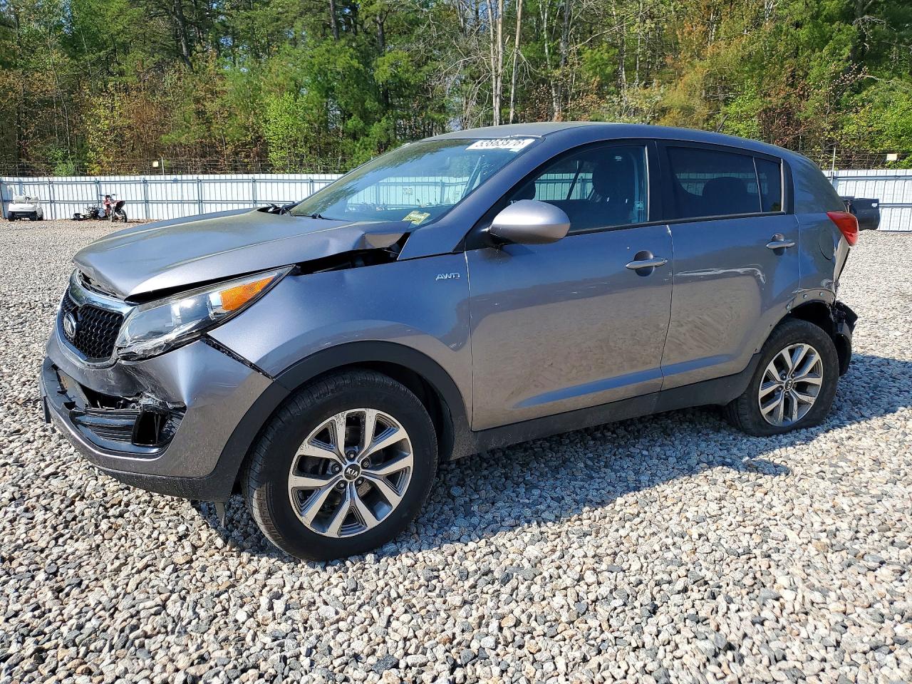 Salvage Kia Sportage Image