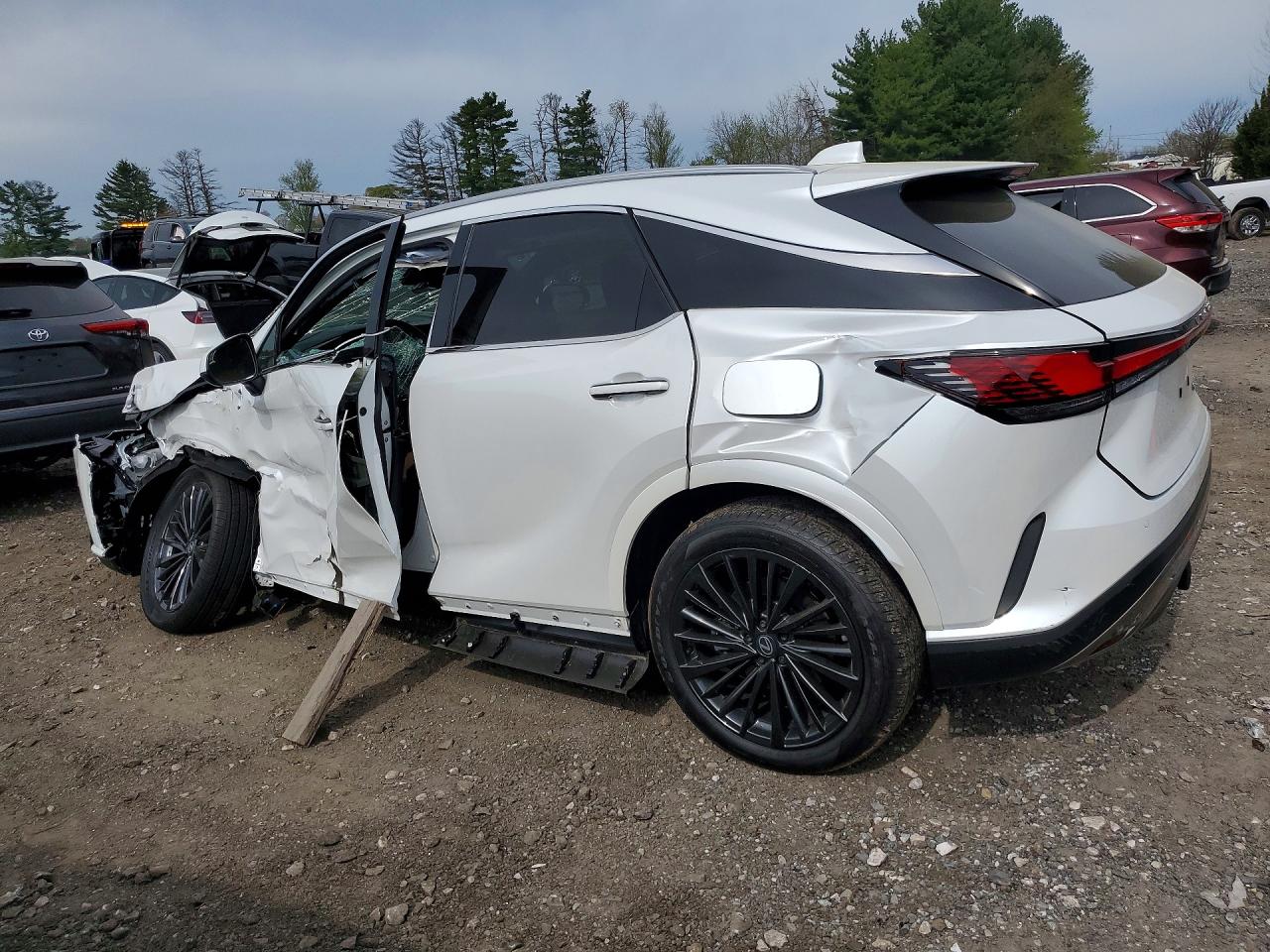 Lexus RX Premium